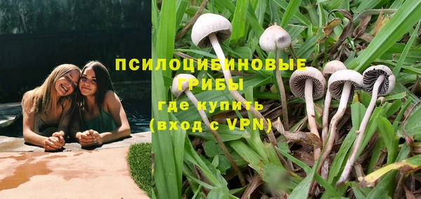 ECSTASY Алексин