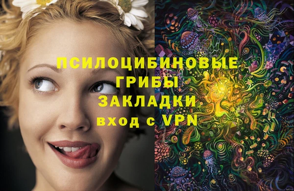 дживик Мегион